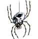 Skulltula